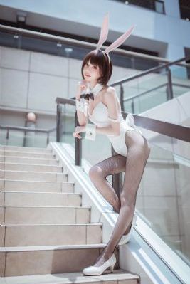 月传芈月传在线观看免费全集