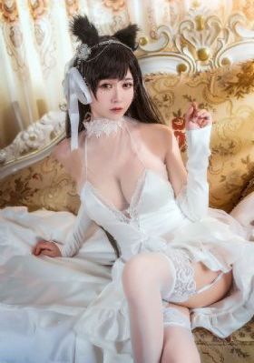 潜行者40集免费观看视频
